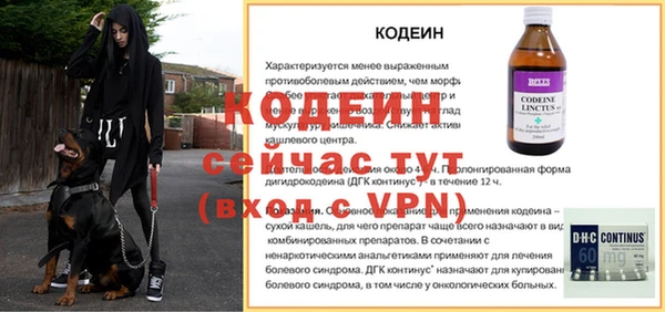 молекула духа Покачи