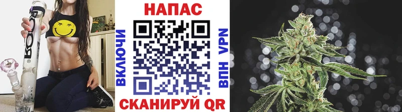 Каннабис Amnesia  Отрадный 
